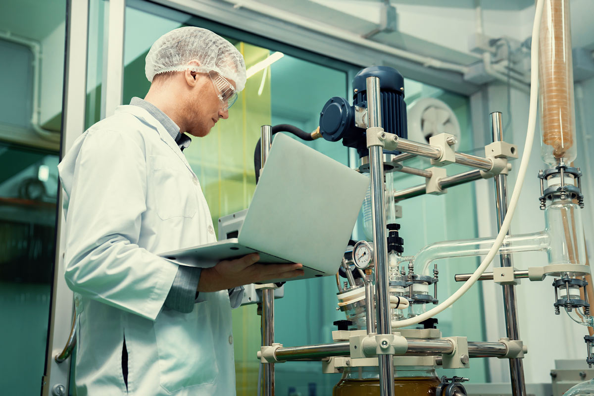 Cannabis-Processing